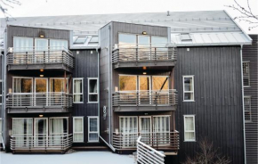 Nice Apartment In Hemsedal With Sauna